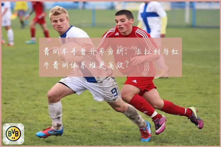 青训车手晋升率分析：法拉利与红牛青训体系谁更高效？